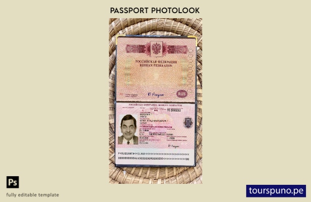 listo para imprimir plantilla de apariencia de foto de pasaporte de viaje de Rus